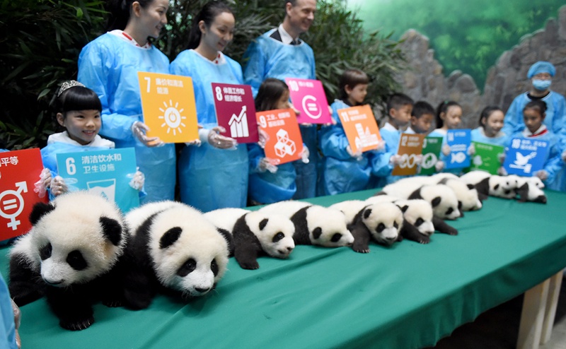 Panda-Kindergarten er?ffnet