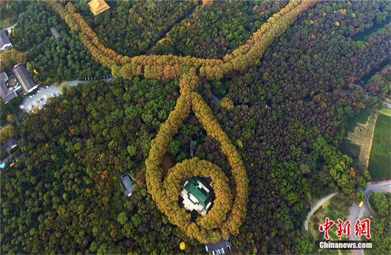 Die ?goldene Halskette“ von Nanjing