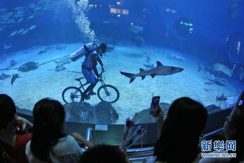 ?Olympische Unterwasser-Spiele“ in Yantai
