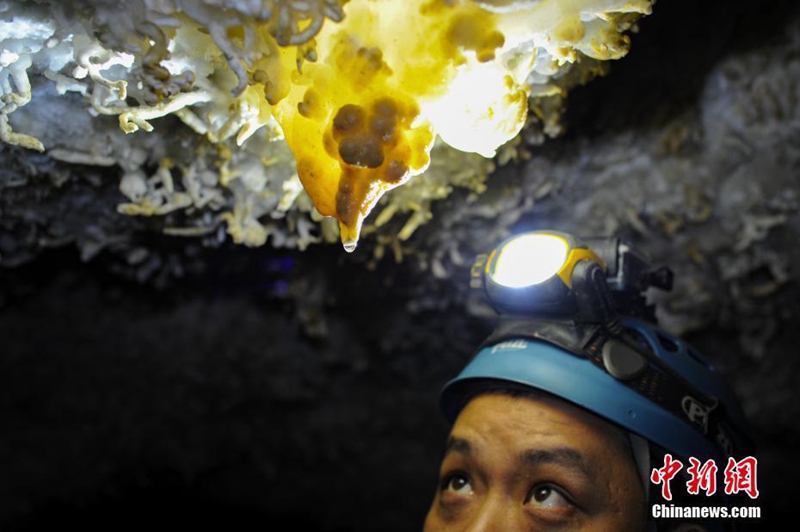 Zweitl?ngste H?hle Asiens in Guizhou