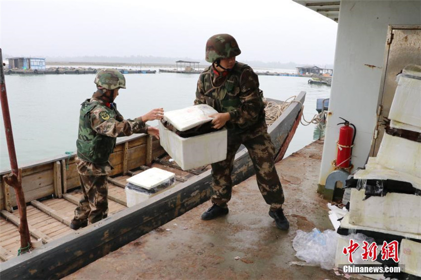 1.609 Krokodilh?ute in Guangxi beschlagnahmt