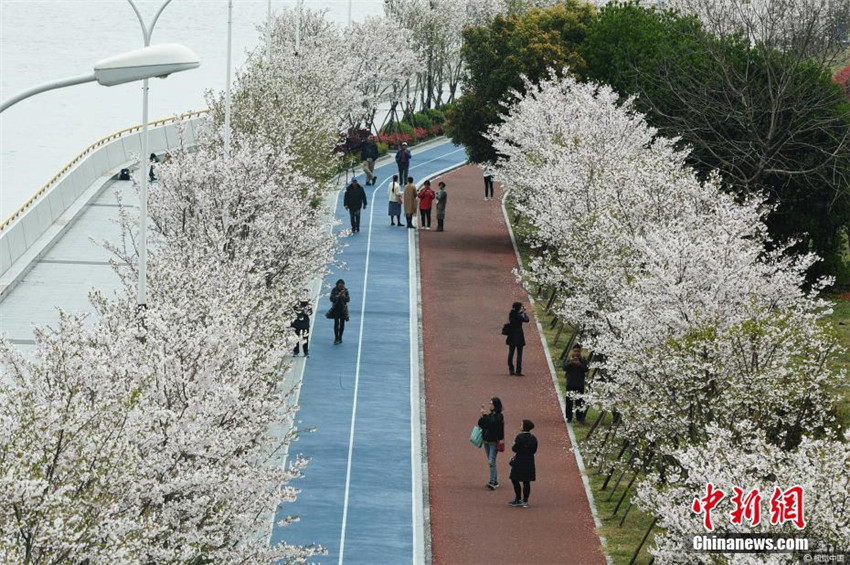 Chinas sch?nster Laufweg am Qiantang-Fluss