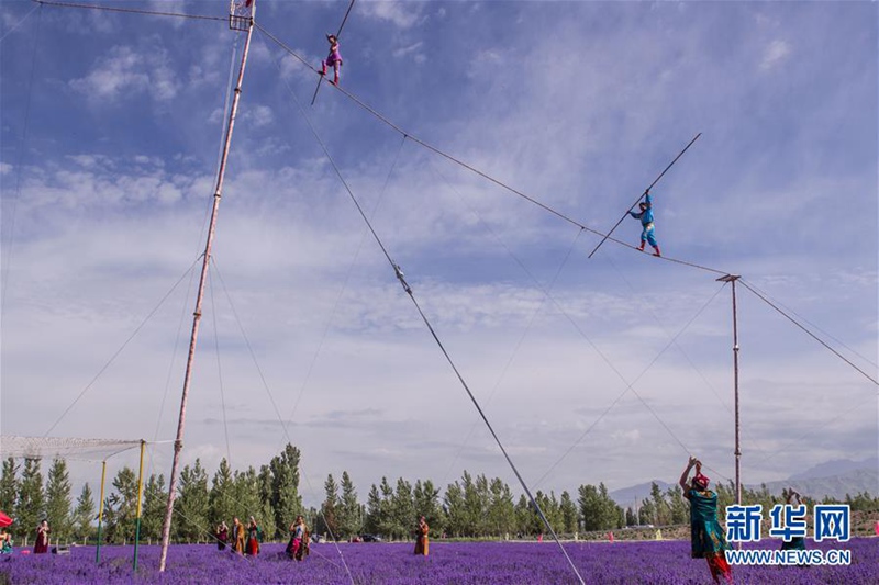 7. Internationales Lavendel-Tourismusfest in Ili er?ffnet