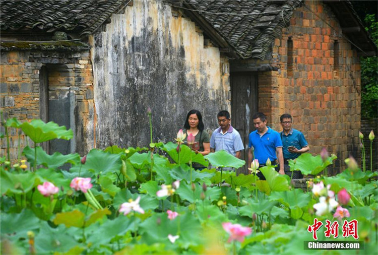 Wuyuans blühende Lotosblumen bet?ren die Touristen