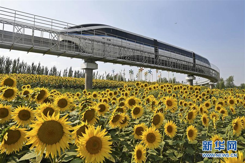 Ningxia ist breit für die 9. Chinesische Blumen-Expo
