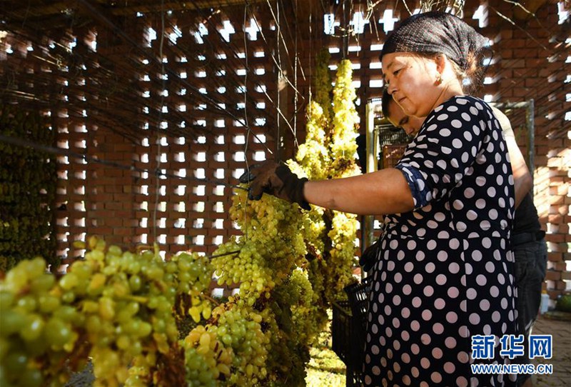 Trauben trocknen in Turpan
