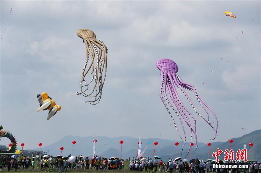 Drachen-Wettbewerb in Guizhou