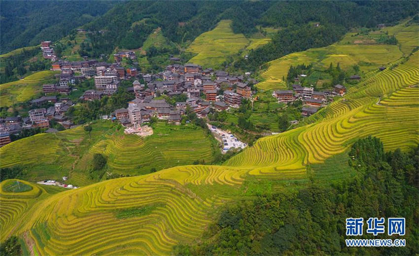 Luftbilder: Malerische Longji-Terrassen