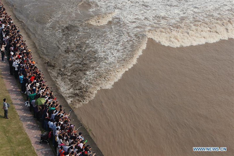 Weltweit gr??te Gezeitenwelle am Qiantang-Fluss