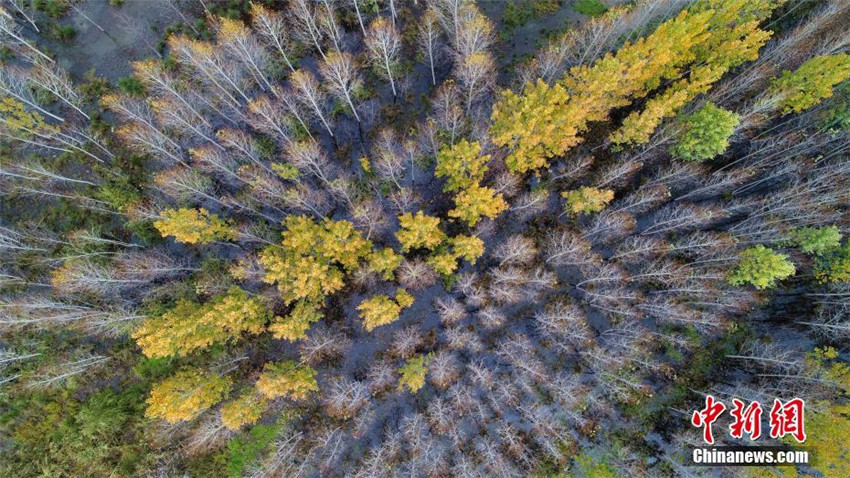 Faszinierende Herbstlandschaft am Lugu-See
