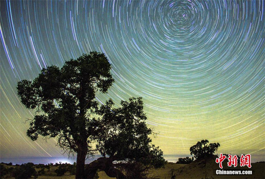 Qinghai: Beste Beobachtungszeit für Tugaiw?lder