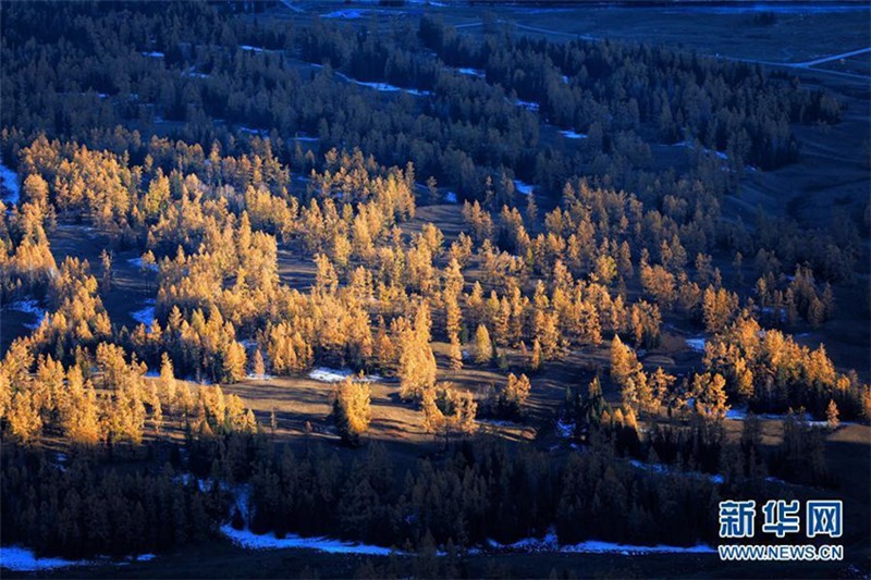 Herbstlandschaft am Kanas-See in Xinjiang