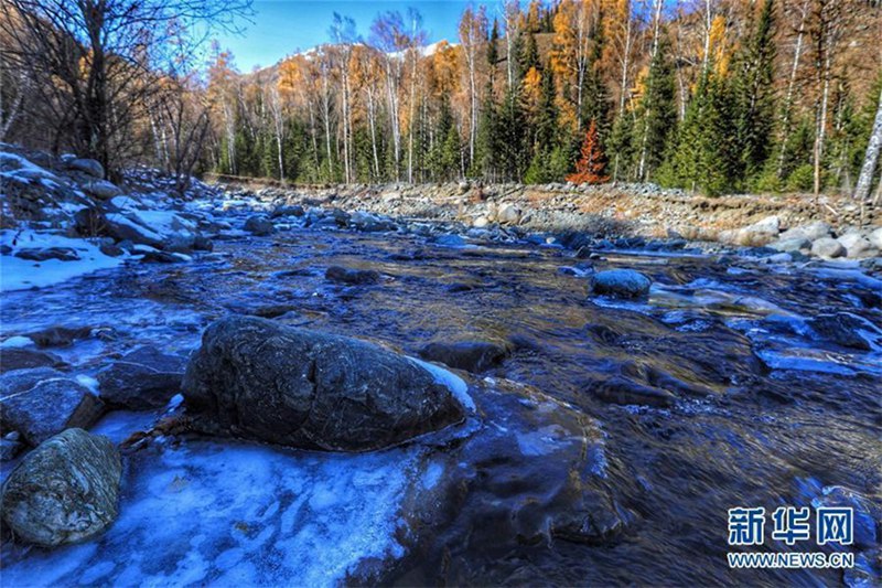 Herbstlandschaft am Kanas-See in Xinjiang