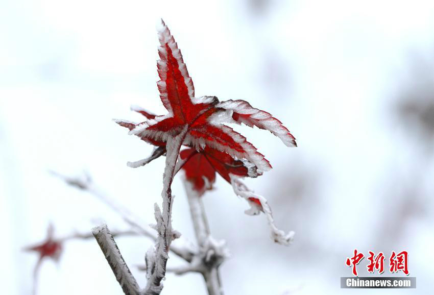 Wundersch?ner Raufrost in Lushan