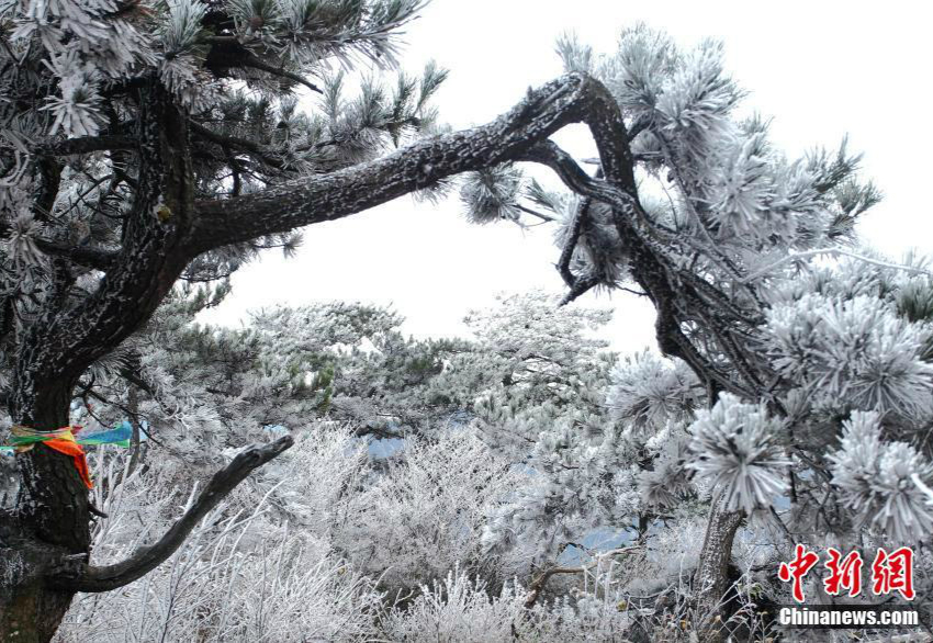 Wundersch?ner Raufrost in Lushan