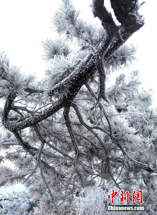 Wundersch?ner Raufrost in Lushan