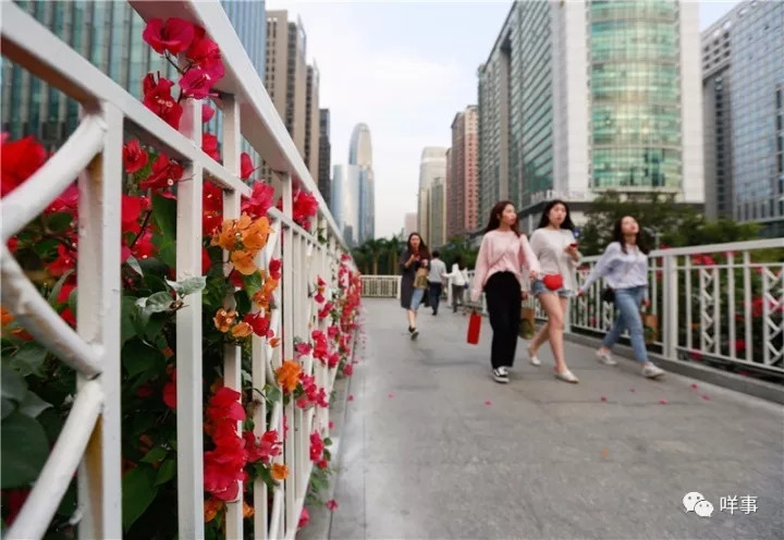 Fortune Global Forum 2017: Die Welt begegnet dem sch?nsten Guangzhou