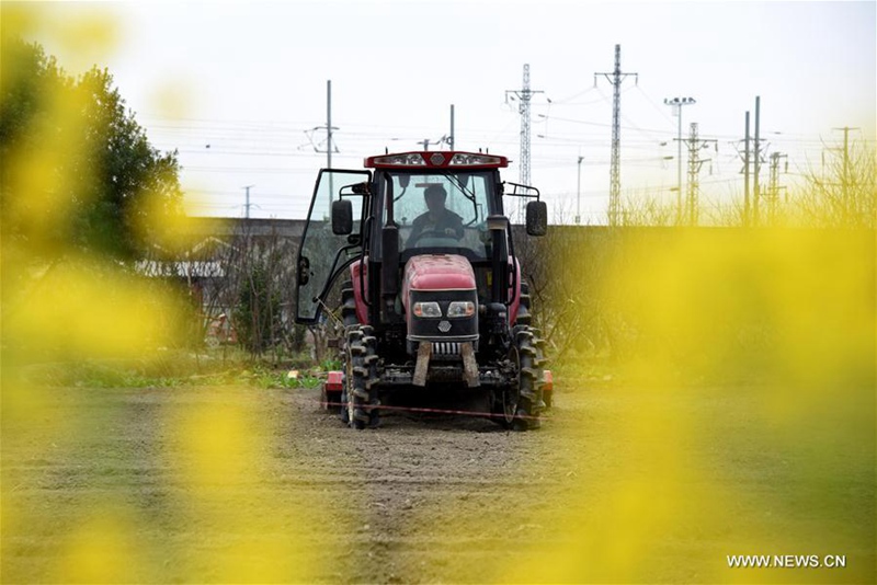 Bauer bei der Arbeit im Frühling