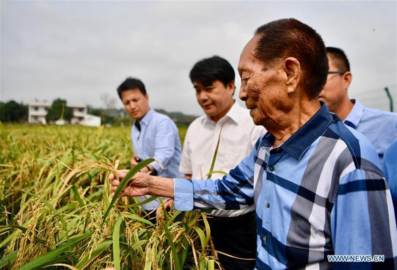 Chinas innovative Entwicklungen