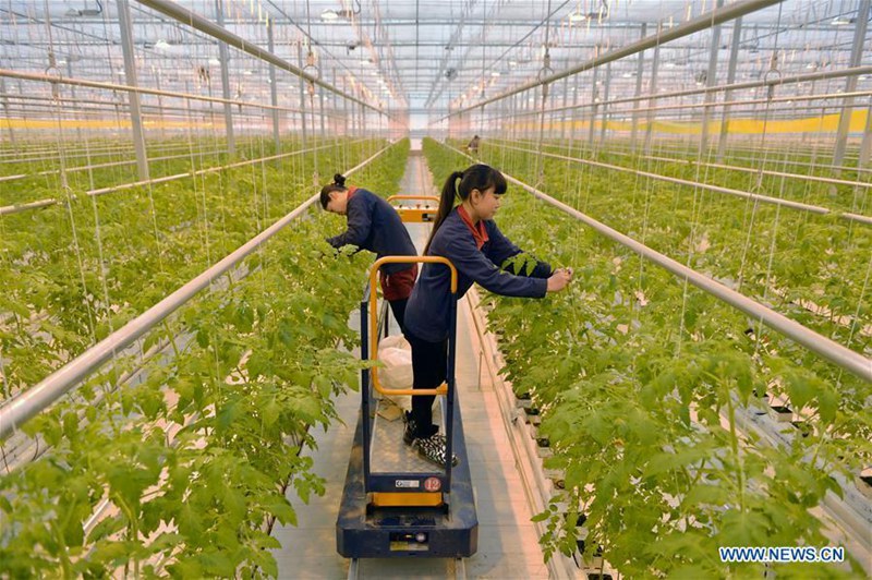 Chinas koordinierte Entwicklungen