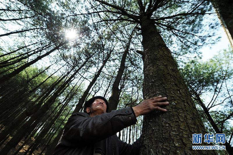 Drei Generationen Waldw?chter in Guizhou