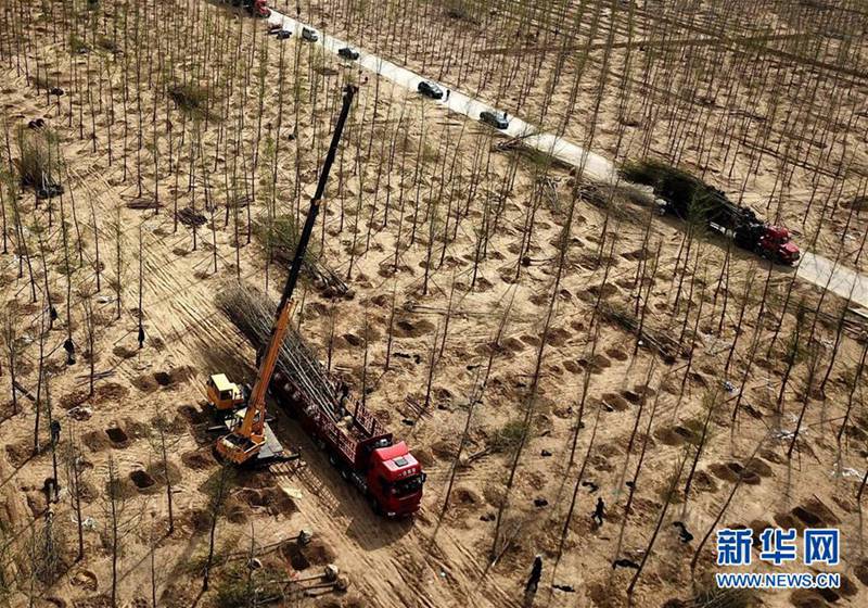 Aufforstung und grüne Entwicklung in Langfang, Hebei