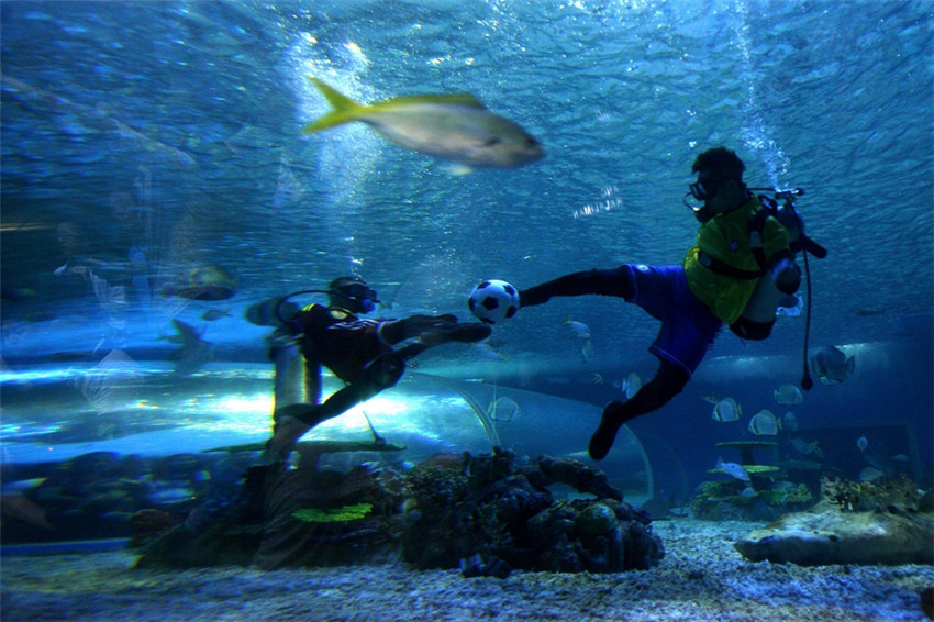 Taucher spielen im Ocean Park im ostchinesischen Shandong unter Wasser Fu?ball