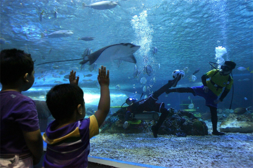 Taucher spielen im Ocean Park im ostchinesischen Shandong unter Wasser Fu?ball