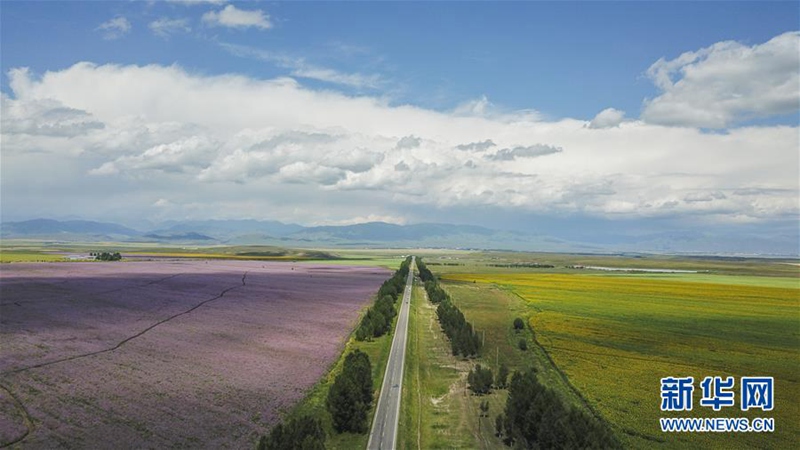 Stra?enbau in Xinjiang