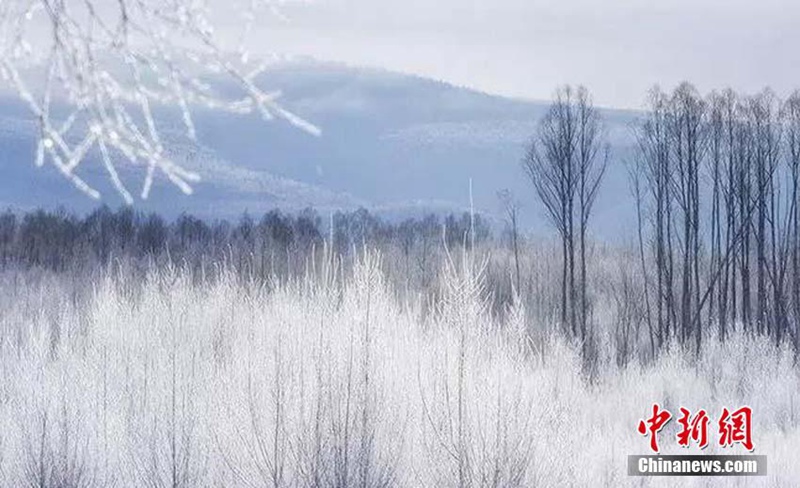 Minus 38 Grad Celsius: sch?ner Raureif in der k?ltesten Gemeinde Chinas