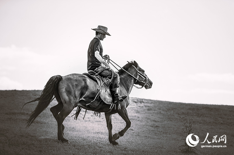 Pferde, Cowboys - Wilder Norden