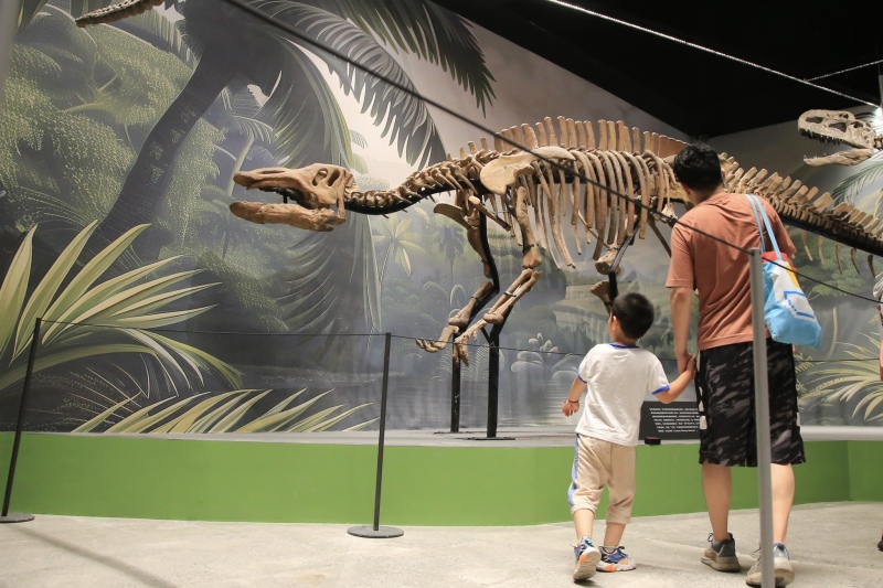 Ein Spaziergang durch den ?Jurassic Park“ - über 500 wertvolle Fossilien in Beijing ausgestellt