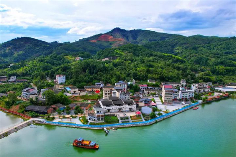 Chinas Pilzindustrie tr?gt zu nachhaltiger Landwirtschaft und Ern?hrungssicherheit bei